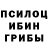 Псилоцибиновые грибы мицелий Art. Mexanik