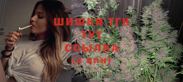 индика Наволоки