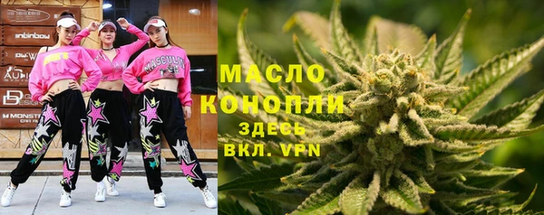 индика Наволоки