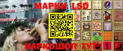 PSILOCYBIN Кинель