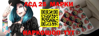 apvp Кингисепп