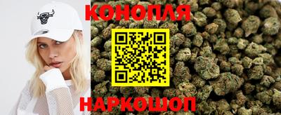 apvp Кингисепп