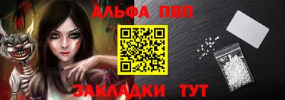 apvp Кингисепп