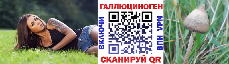 Галлюциногенные грибы Psilocybe  Майский 